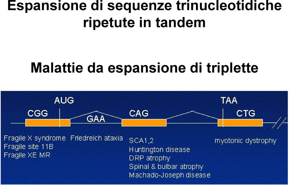 ripetute in tandem