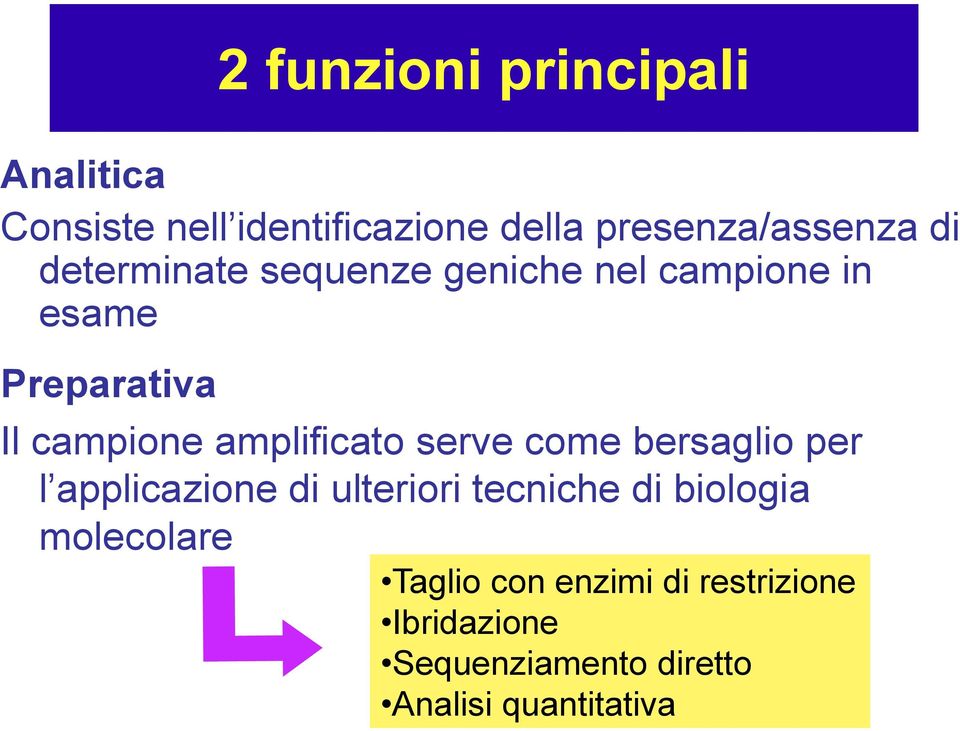 amplificato serve come bersaglio per l applicazione di ulteriori tecniche di biologia