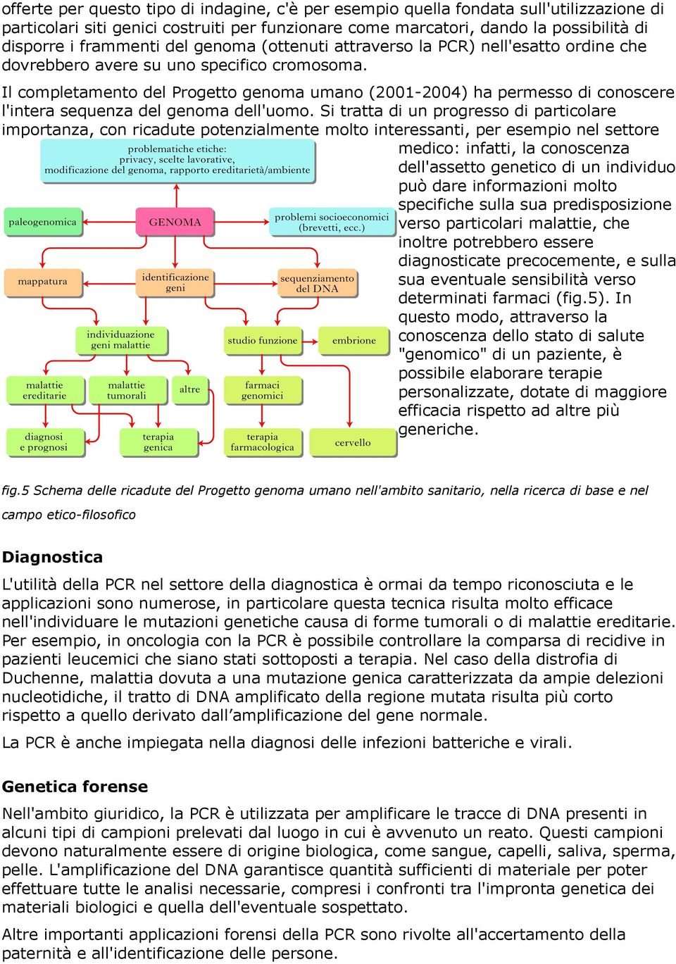 Il completamento del Progetto genoma umano (2001-2004) ha permesso di conoscere l'intera sequenza del genoma dell'uomo.