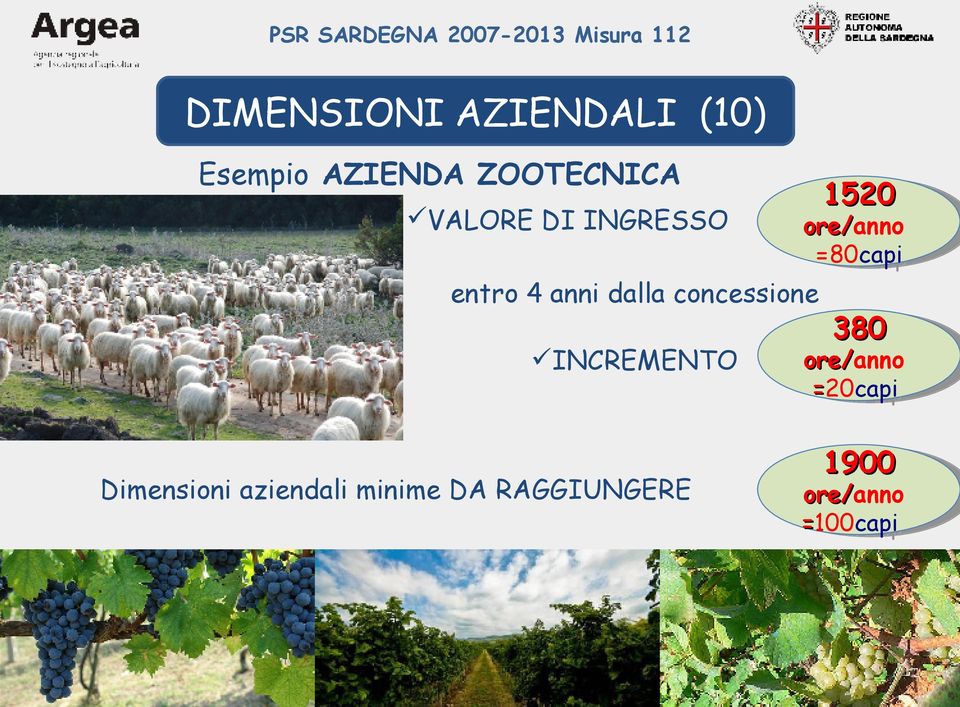 INCREMENTO Dimensioni aziendali minime DA RAGGIUNGERE 380 380 ore/anno ore/