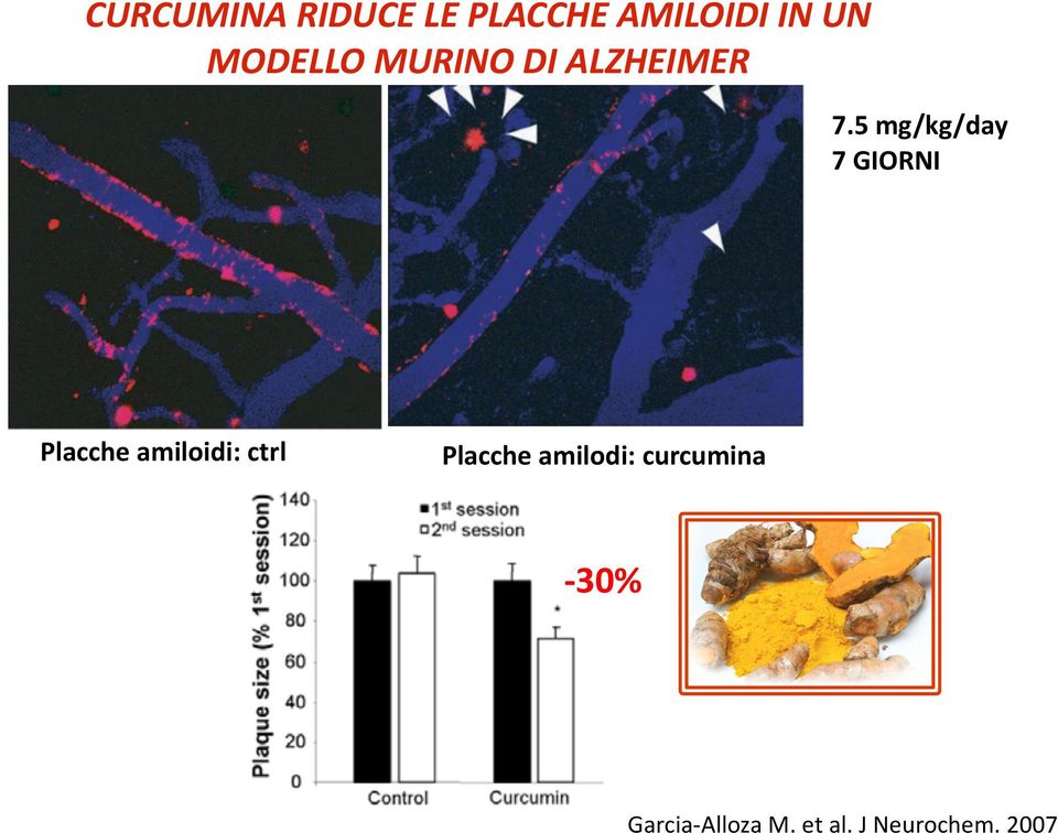 5 mg/kg/day 7 GIORNI Placche amiloidi: ctrl