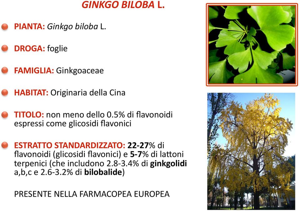 5% di flavonoidi espressi come glicosidi flavonici ESTRATTO STANDARDIZZATO: 22-27% di