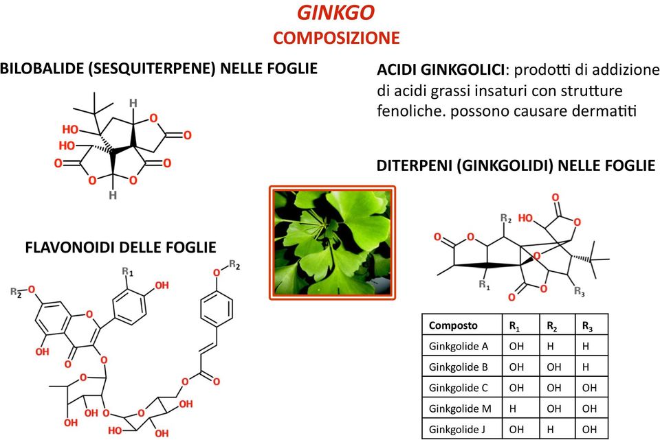 possono causare dermaee DITERPENI (GINKGOLIDI) NELLE FOGLIE FLAVONOIDI DELLE FOGLIE