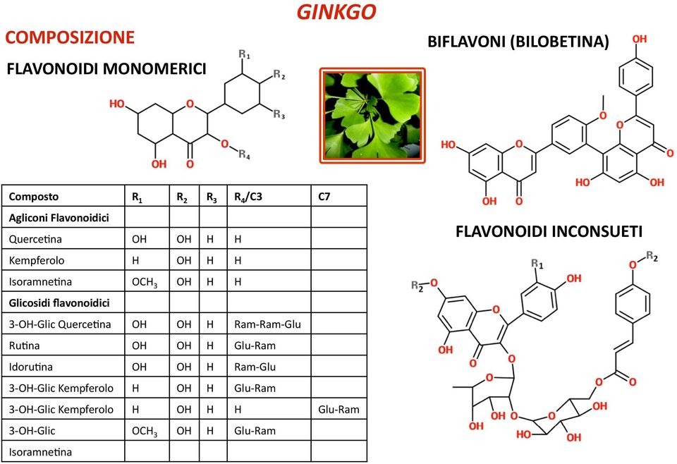 Glic QuerceEna OH OH H Ram- Ram- Glu RuEna OH OH H Glu- Ram IdoruEna OH OH H Ram- Glu 3- OH- Glic Kempferolo H