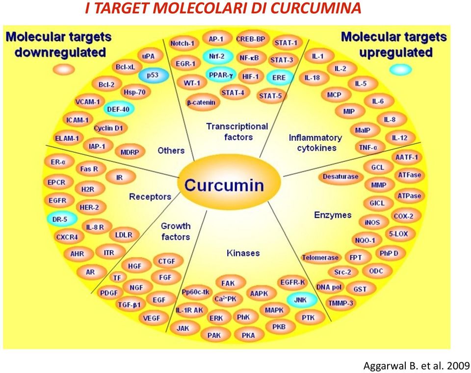 CURCUMINA