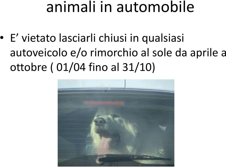 autoveicolo e/o rimorchio al sole