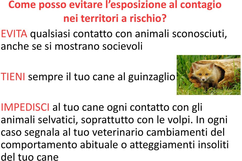 tuo cane al guinzaglio IMPEDISCI al tuo cane ogni contatto con gli animali selvatici, soprattutto