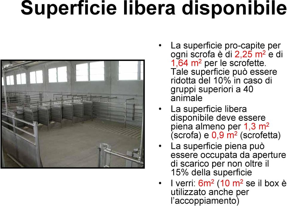 deve essere piena almeno per 1,3 m 2 (scrofa) e 0,9 m 2 (scrofetta) La superficie piena può essere occupata da