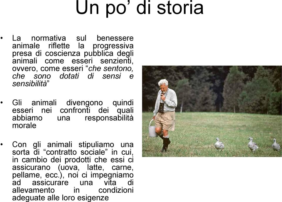 quali abbiamo una responsabilità morale Con gli animali stipuliamo una sorta di contratto sociale in cui, in cambio dei prodotti che essi