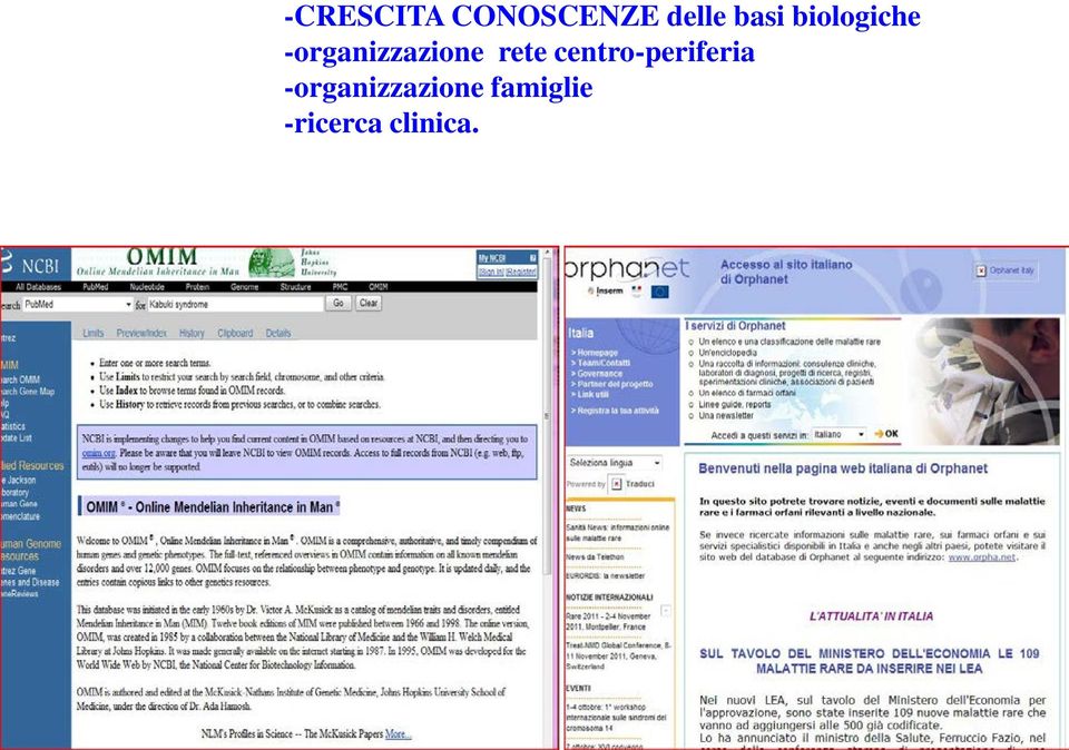 -organizzazione rete