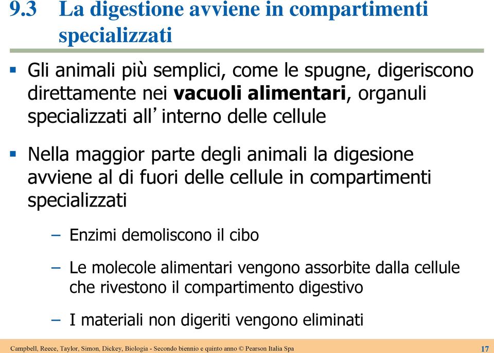 la digesione avviene al di fuori delle cellule in compartimenti specializzati Enzimi demoliscono il cibo Le molecole