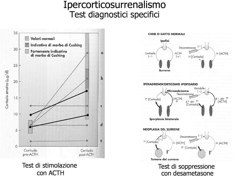 stimolazione con ACTH Test di