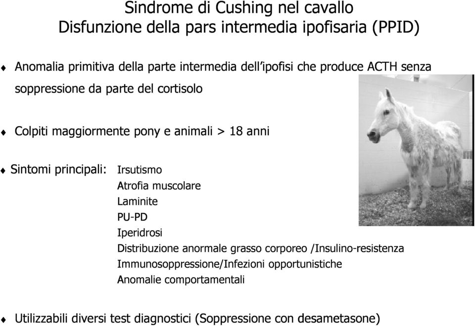 Irsutismo Atrofia muscolare Laminite PU-PD PD Iperidrosi Distribuzione anormale grasso corporeo /Insulino Insulino-resistenza