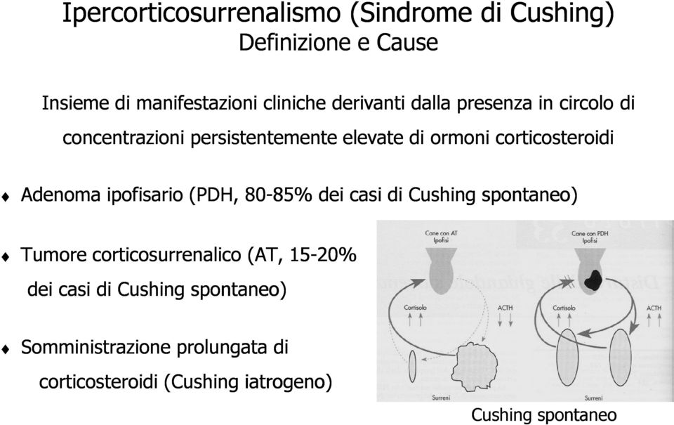 Adenoma ipofisario (PDH, 80-85% 85% dei casi di Cushing spontaneo) Tumore corticosurrenalico (AT, 15-20%