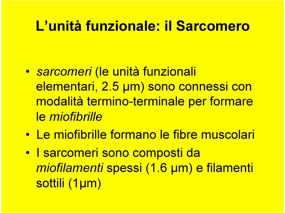 5 µm) sono connessi con modalità termino-terminale per formare le