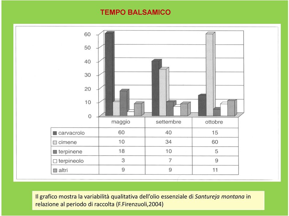 essenziale di Santureja montana in