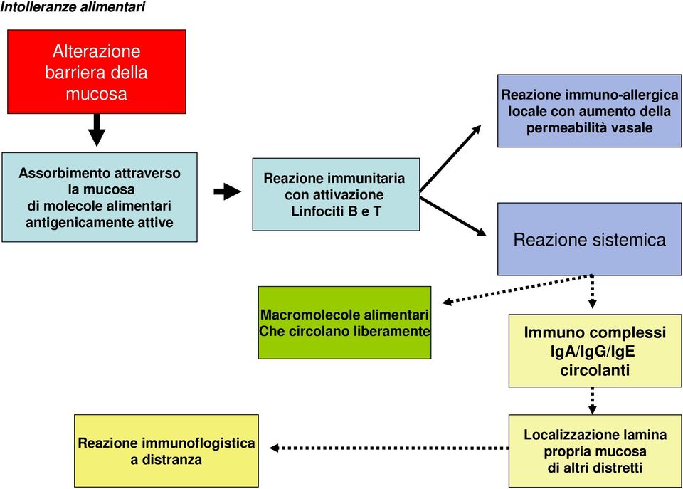 attivazione Linfociti B e T Reazione sistemica Macromolecole alimentari Che circolano liberamente Immuno