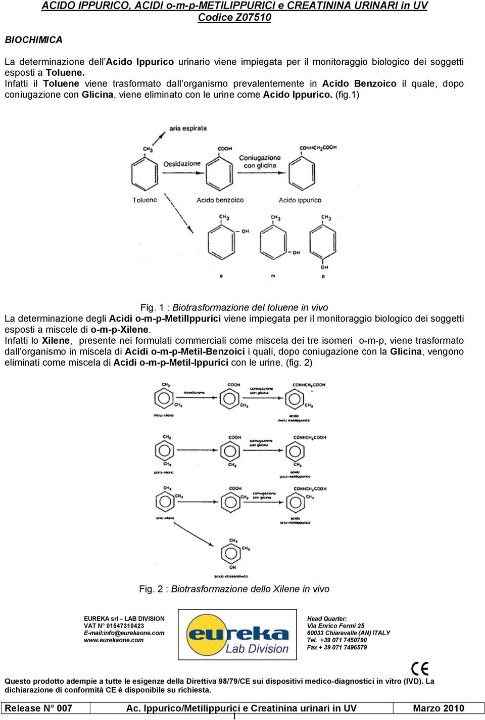 (fig.1) Fig. 1 : Biotrasformazione del toluene in vivo La determinazione degli Acidi o-m-p-metilippurici viene impiegata per il monitoraggio biologico dei soggetti esposti a miscele di o-m-p-xilene.