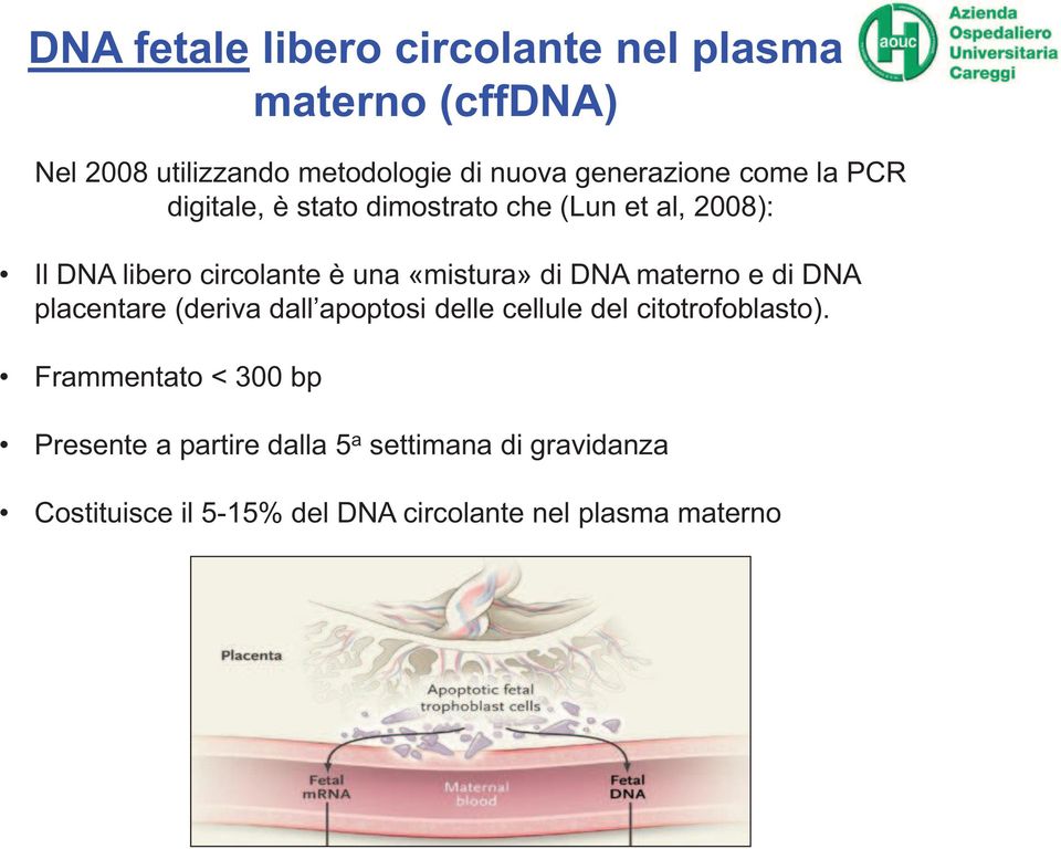 DNA materno e di DNA placentare (deriva dall apoptosi delle cellule del citotrofoblasto).