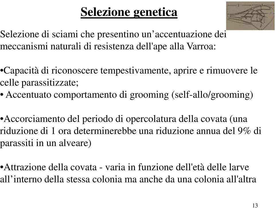 Accorciamento del periodo di opercolatura della covata (una riduzione di 1 ora determinerebbe una riduzione annua del 9% di parassiti in un