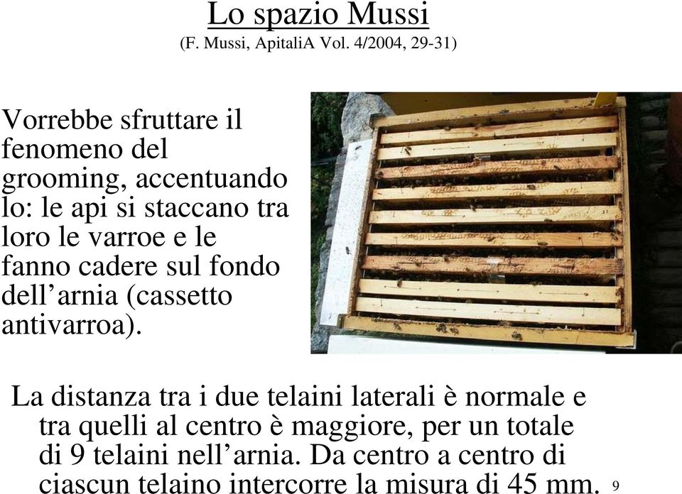 4/2004, 29-31) La distanza tra i due telaini laterali è normale e tra quelli al centro è maggiore, per