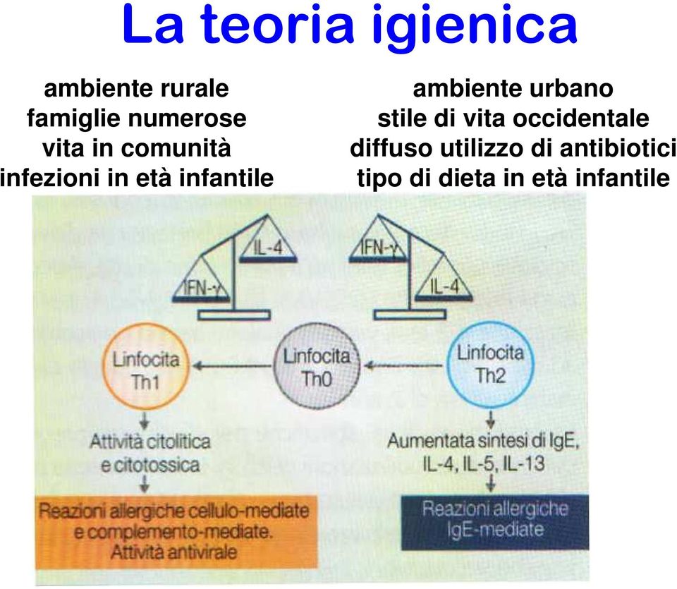 infantile ambiente urbano stile di vita