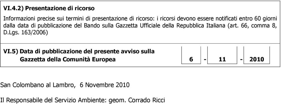 Italiana (art. 66, comma 8, D.Lgs. 163/2006) VI.