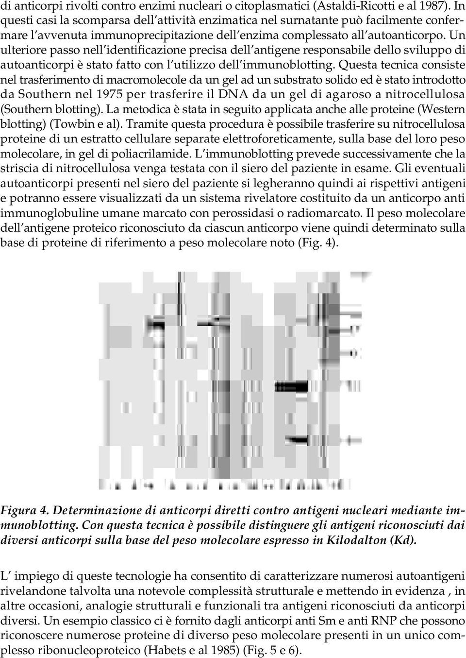 Un ulteriore passo nell identificazione precisa dell antigene responsabile dello sviluppo di autoanticorpi è stato fatto con l utilizzo dell immunoblotting.