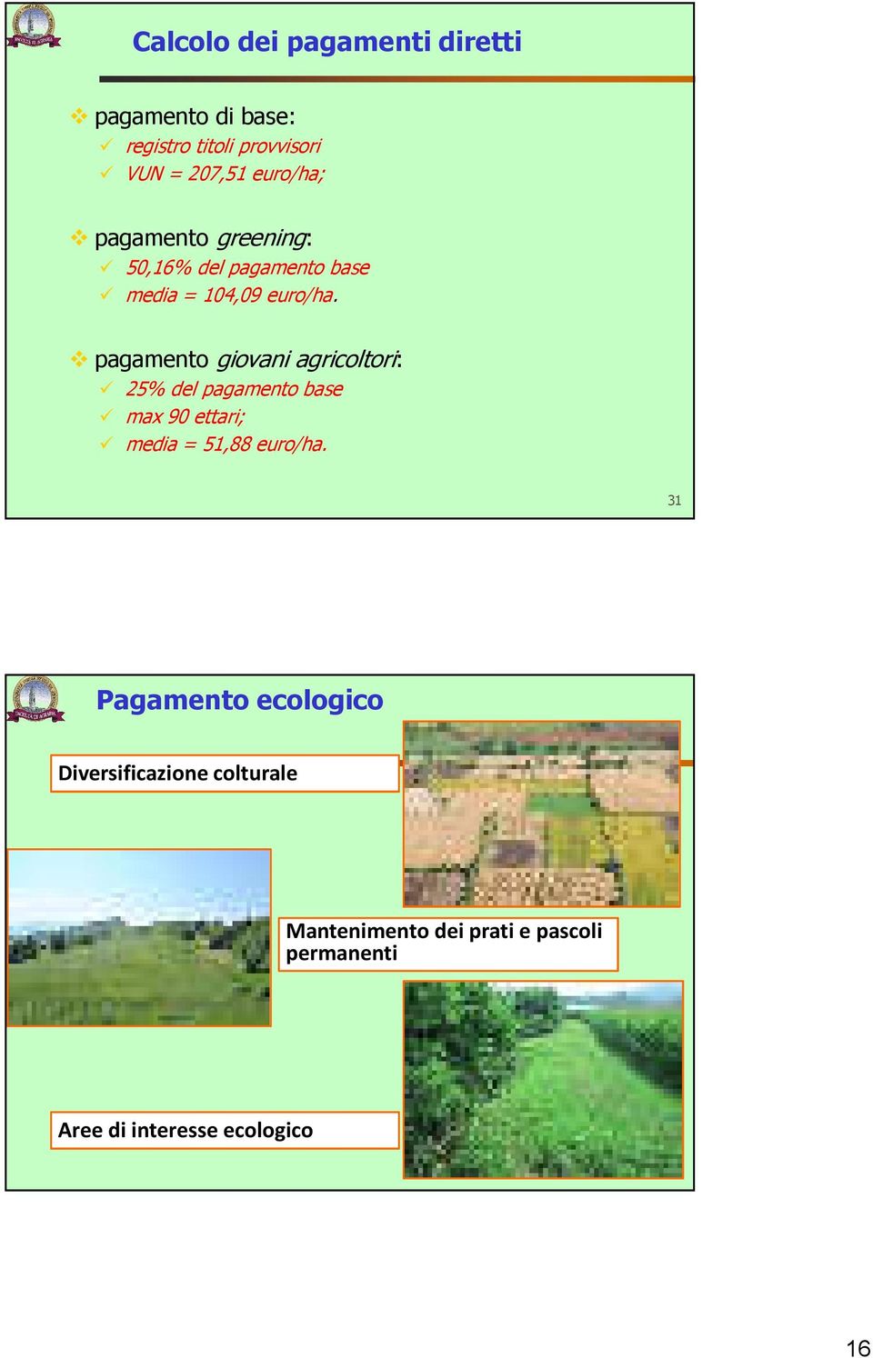 pagamento giovani agricoltori: 25% del pagamento base max 90 ettari; media = 51,88 euro/ha.