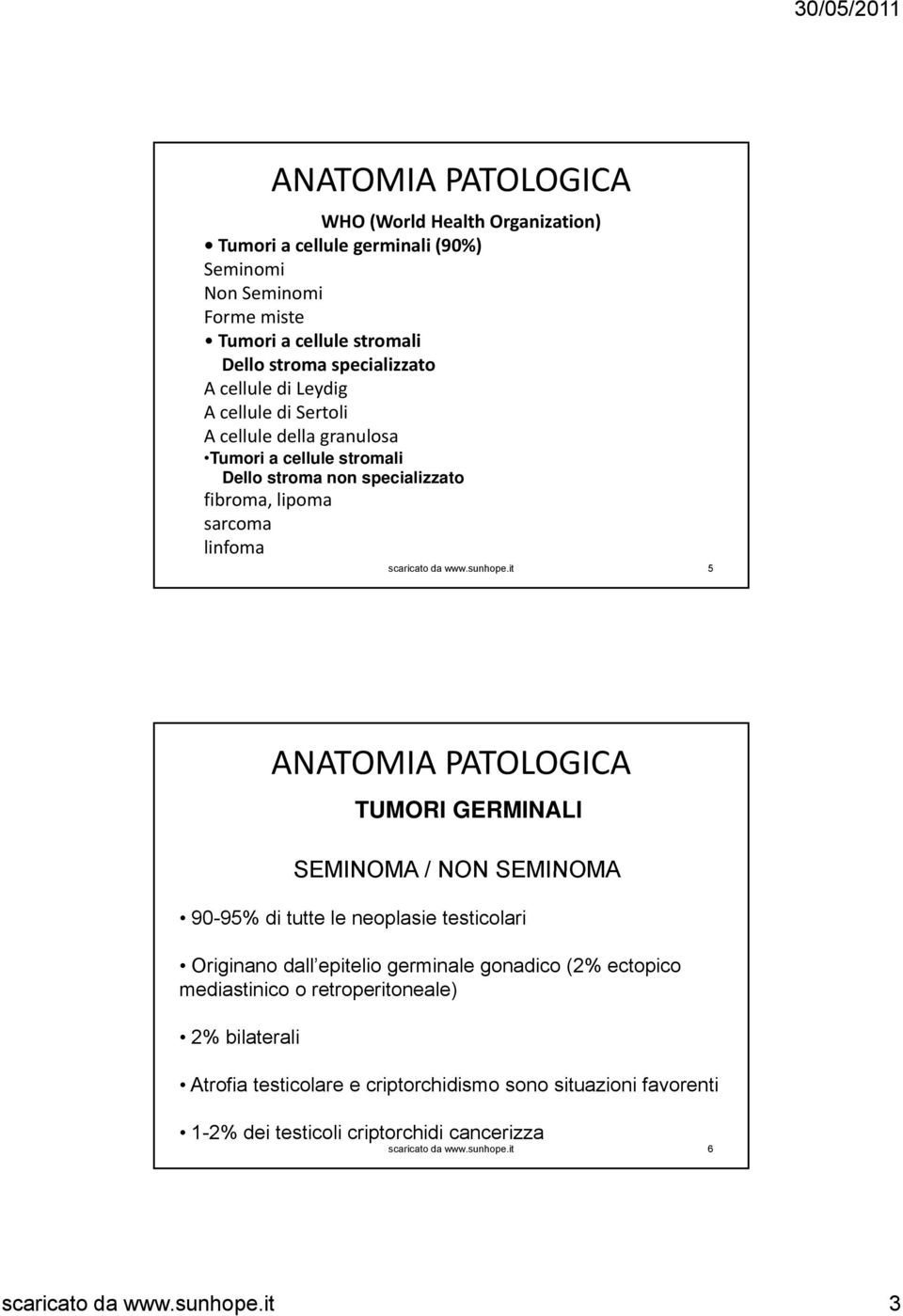 linfoma 5 ANATOMIA PATOLOGICA TUMORI GERMINALI SEMINOMA / NON SEMINOMA 90-95% di tutte le neoplasie testicolari Originano dall epitelio germinale gonadico (2%