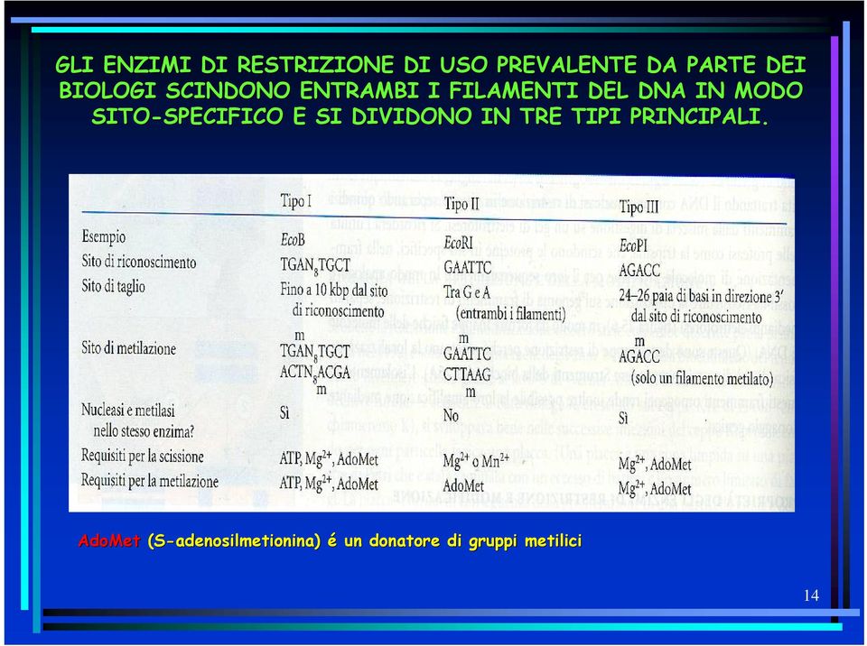 SITO-SPECIFICO SPECIFICO E SI DIVIDONO IN TRE TIPI PRINCIPALI.