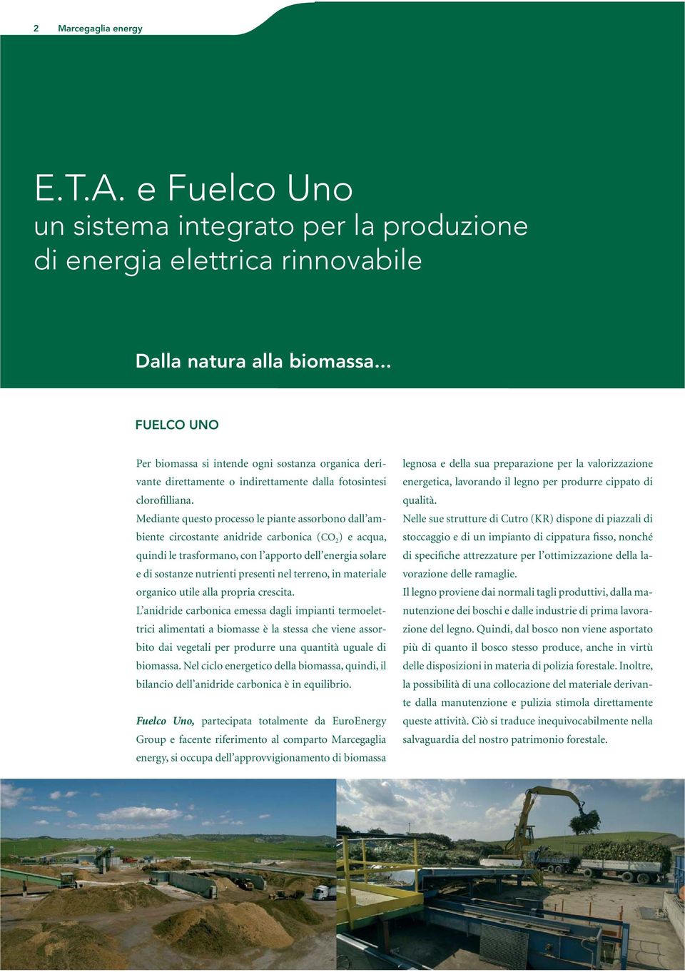 Mediante questo processo le piante assorbono dall ambiente circostante anidride carbonica (CO 2 ) e acqua, quindi le trasformano, con l apporto dell energia solare e di sostanze nutrienti presenti