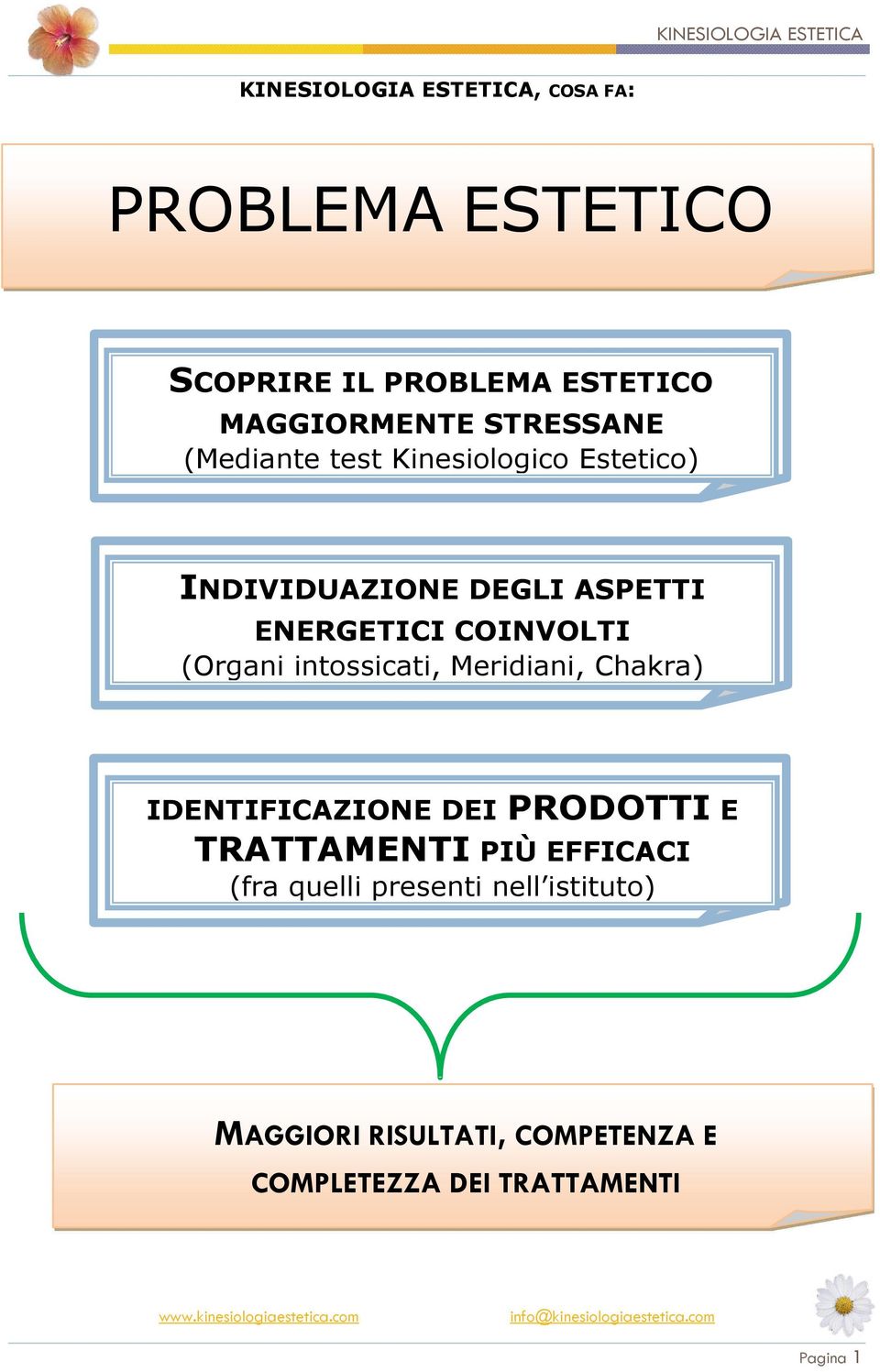 (Organi intossicati, Meridiani, Chakra) IDENTIFICAZIONE DEI PRODOTTI E TRATTAMENTI PIÙ EFFICACI