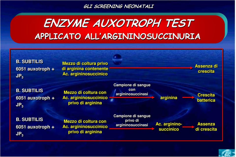 SUBTILIS 6051 auxotroph JP 3 Mezzo di coltura con Ac.