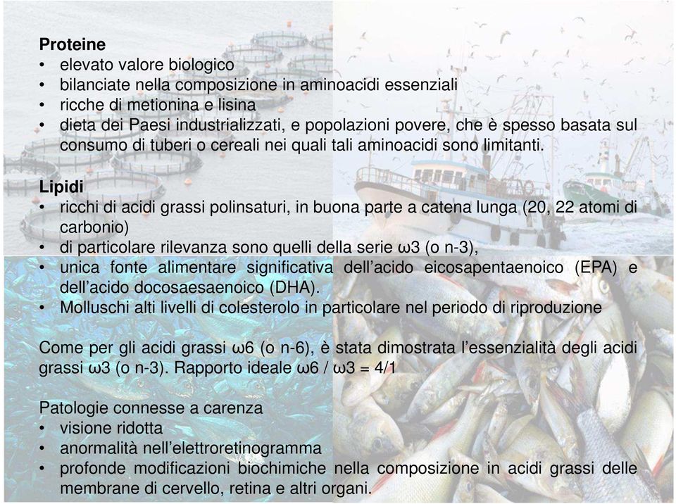 Lipidi ricchi di acidi grassi polinsaturi, in buona parte a catena lunga (20, 22 atomi di carbonio) di particolare rilevanza sono quelli della serie ω3 (o n-3), unica fonte alimentare significativa