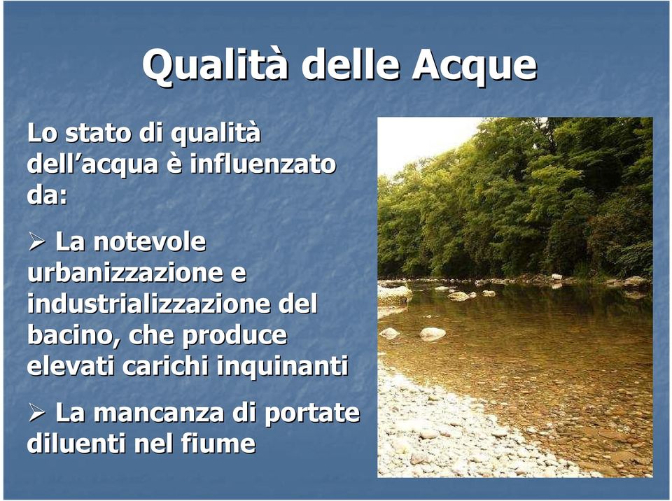 industrializzazione del bacino, che produce elevati