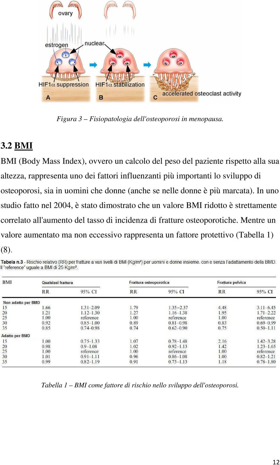 2 BMI BMI (Body Mass Index), ovvero un calcolo del peso del paziente rispetto alla sua altezza, rappresenta uno dei fattori influenzanti più importanti lo