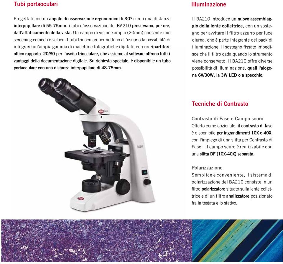 I tubi trinoculari permettono all usuario la possibilità di integrare un'ampia gamma di macchine fotografiche digitali, con un ripartitore ottico rapporto 20/80 per l uscita trinoculare, che assieme