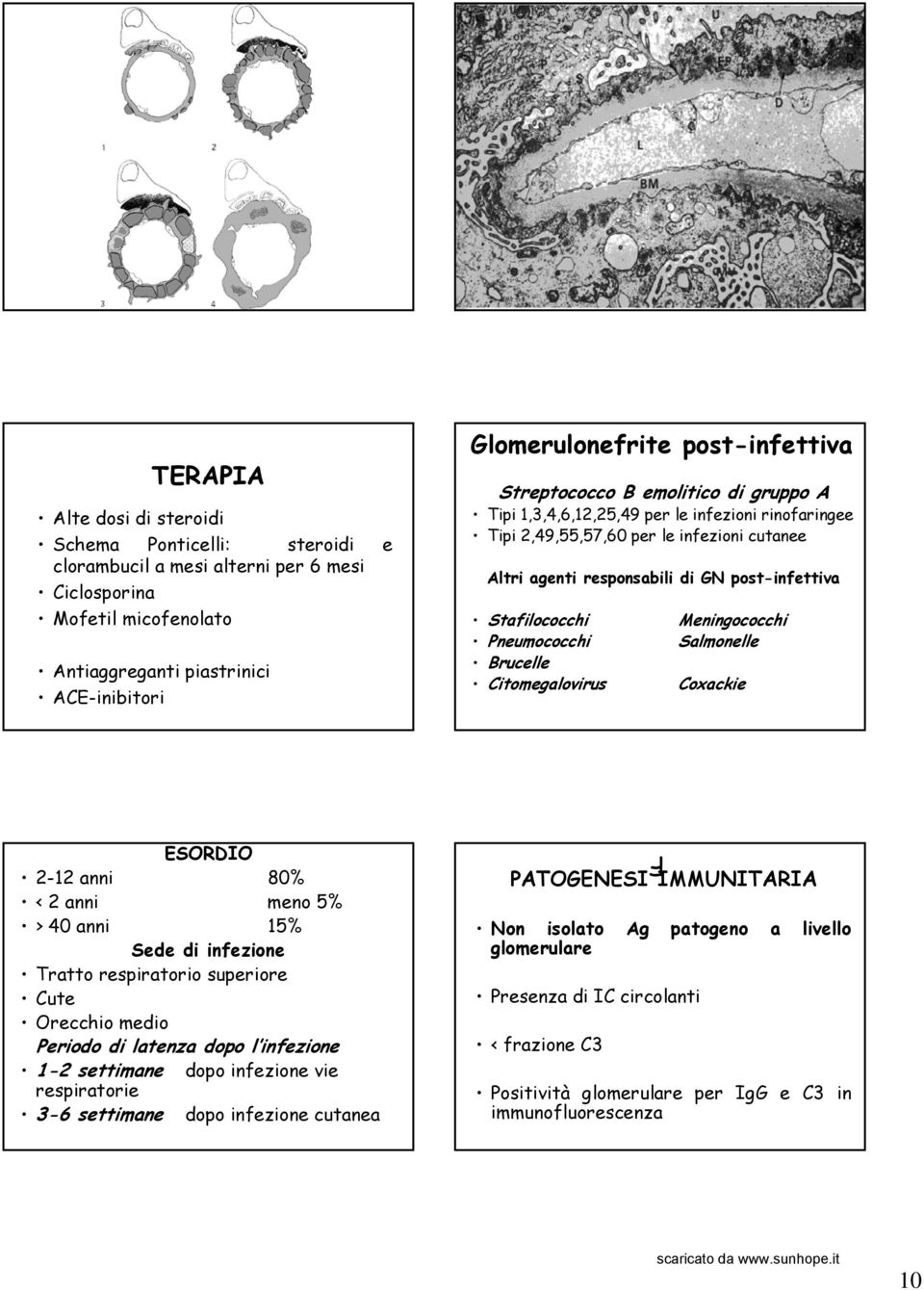 Stafilococchi Pneumococchi Brucelle Citomegalovirus Meningococchi Salmonelle Coxackie ESORDIO 2-12 anni 80% < 2 anni meno 5% > 40 anni 15% Sede di infezione Tratto respiratorio superiore Cute