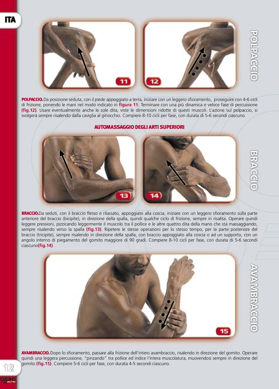 L azione sul polpaccio, si svolgerà sempre risalendo dalla caviglia al ginocchio. Compiere 8-10 cicli per fase, con durata di 5-6 secondi ciascuno. AUTOMASSAGGIO DEGLI ARTI SUPERIORI BRACCIO.