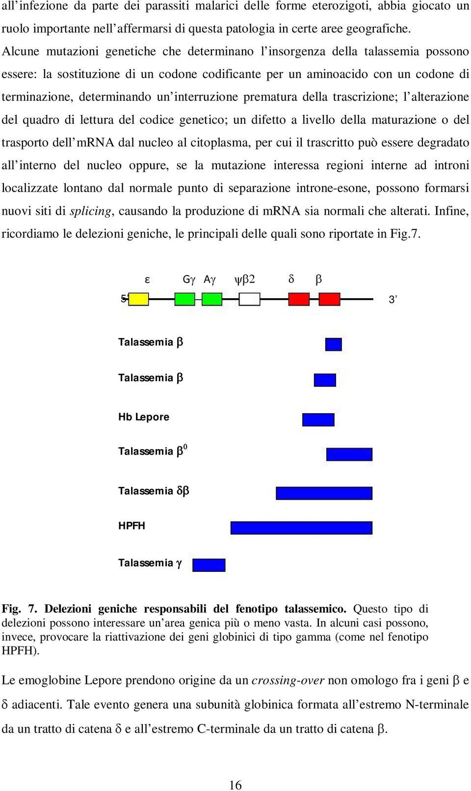 interruzione prematura della trascrizione; l alterazione del quadro di lettura del codice genetico; un difetto a livello della maturazione o del trasporto dell mrna dal nucleo al citoplasma, per cui