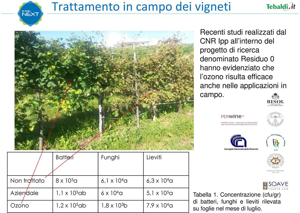 Batteri Funghi Lieviti Consiglio Nazionale delle Ricerche Non trattato 8 x 10 5 a 6,1 x 10 4 a 6,3 x 10 4 a Aziendale 1,1 x 10 5