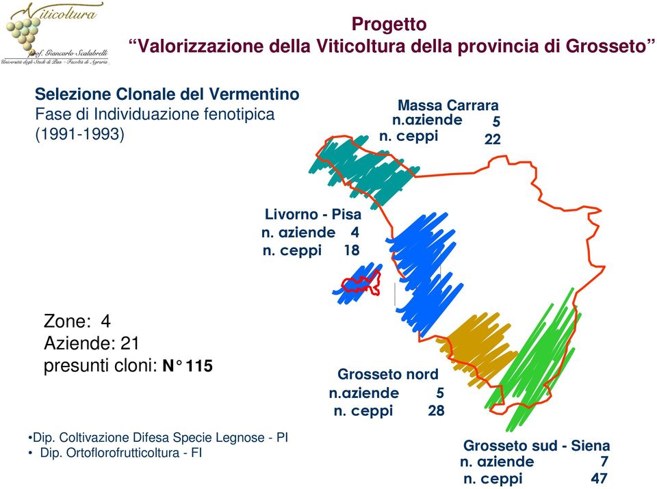 aziende 4 n. ceppi 18 Zone: 4 Aziende: 21 presunti cloni: N 115 Grosseto nord n.aziende 5 n. ceppi 28 Dip.