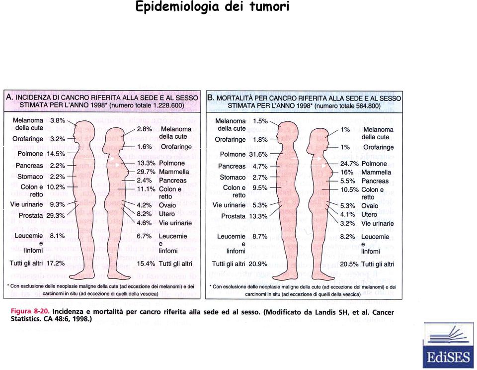 mortalità riferita alla sede