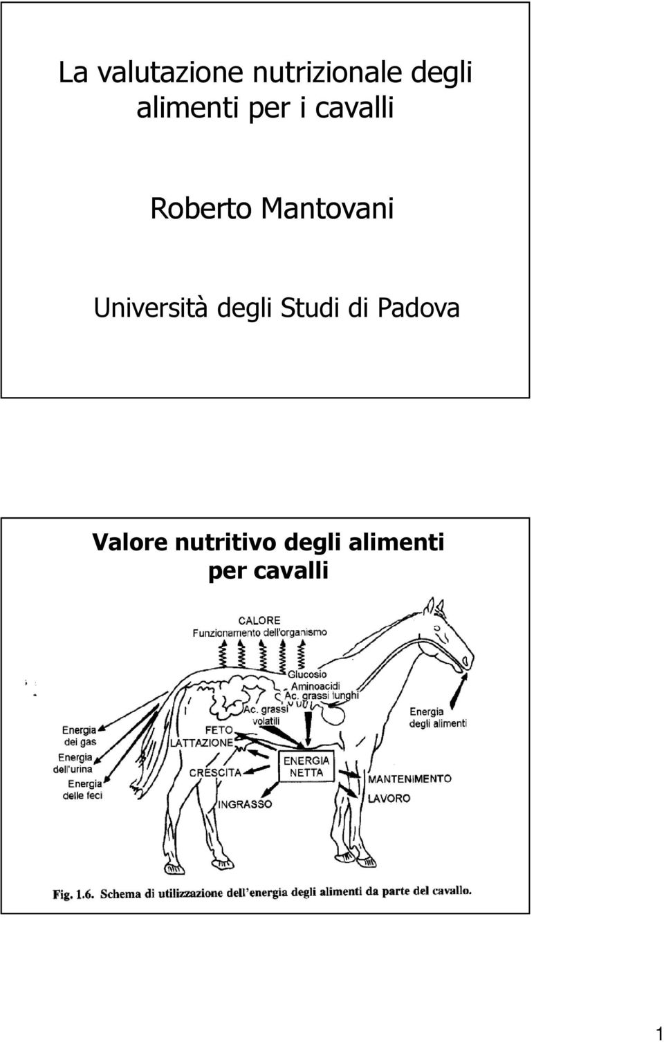 Mantovani Università degli Studi di