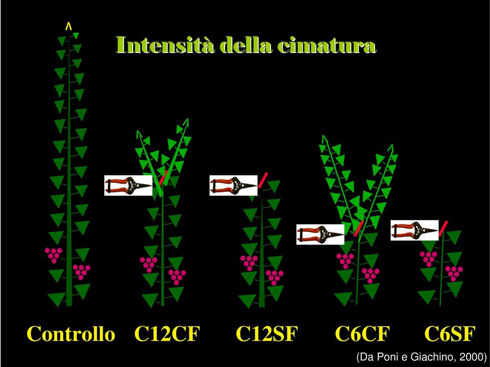 Controllo C12CF C12SF