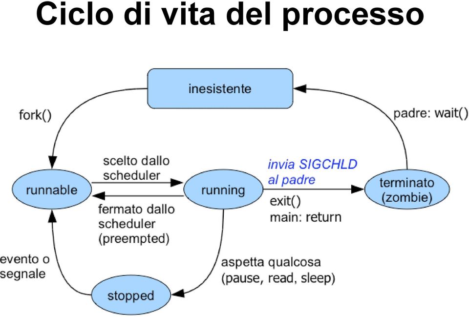 processo