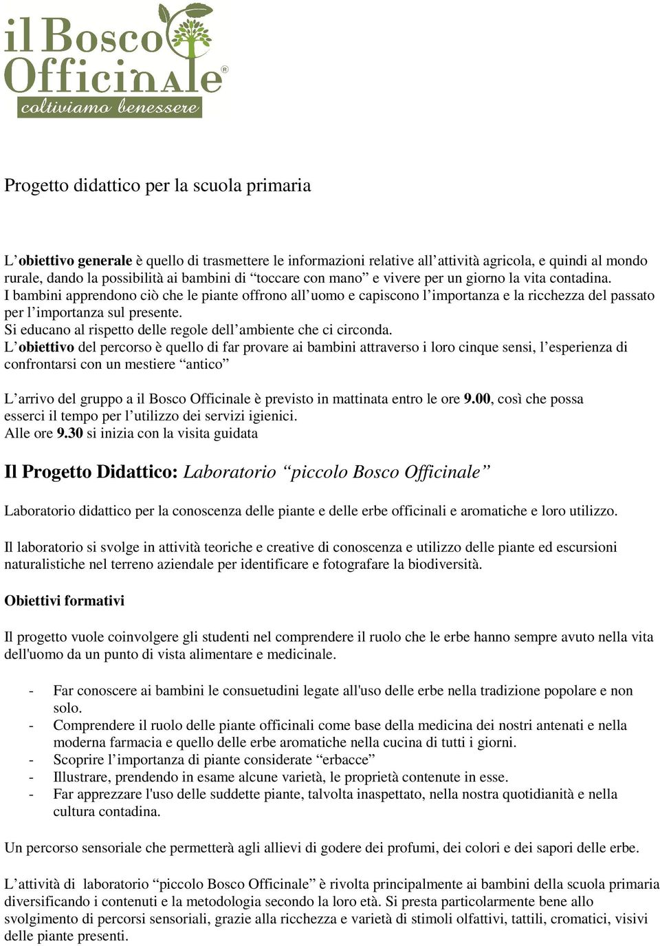 Si educano al rispetto delle regole dell ambiente che ci circonda.