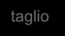 SEZIONI IN ACCIAIO SOGGETTE A FLESSIONE E TAGLIO se si considera che hwtw AV allora si può scrivere: Quando devo preoccuparmi di questo problema di compresenza di taglio e momento?