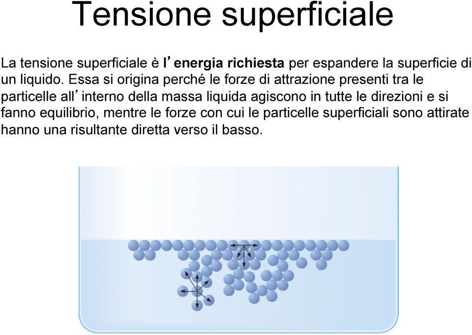 Essa si origina perché le forze di attrazione presenti tra le particelle all interno della